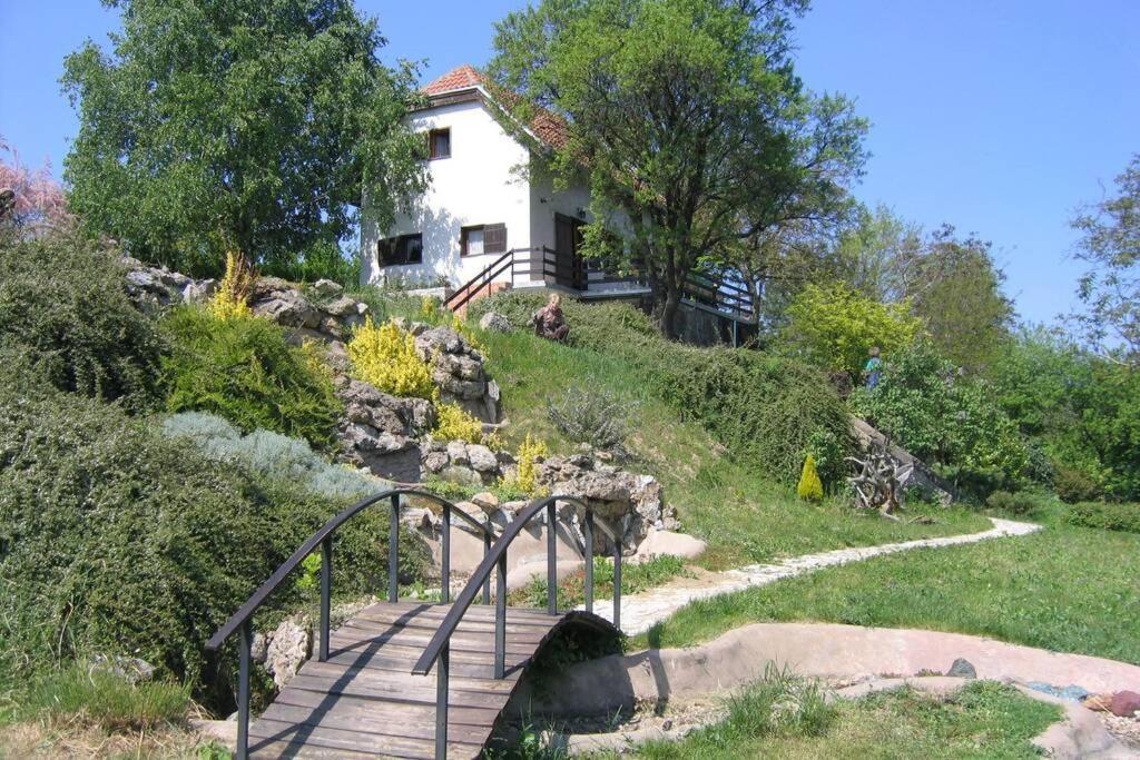 Villa Kornelija Stari Slankamen Eksteriør bilde