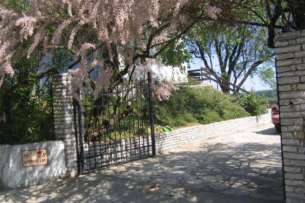 Villa Kornelija Stari Slankamen Eksteriør bilde